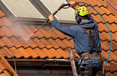 Démoussage et hydrofuge de toiture à Valzin en Petite Montagne
